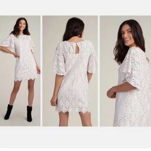 NWT Trina Turk Auteur Lace Shift Cocktail Dress
